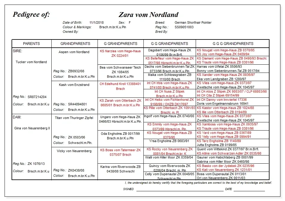 vom Nordland